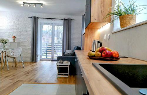 nowy Rustykalny apartament z tarasem - Willa Sowia - Foto 11