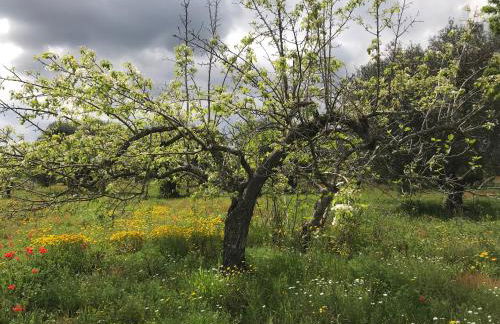 VITA VIVET Guest House - Foto 48