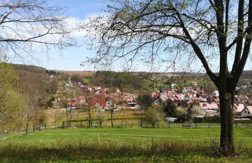 Ferienhaus Zum Kuckuck, Wng 2, Urlaub im Eichsfeld - Foto 37