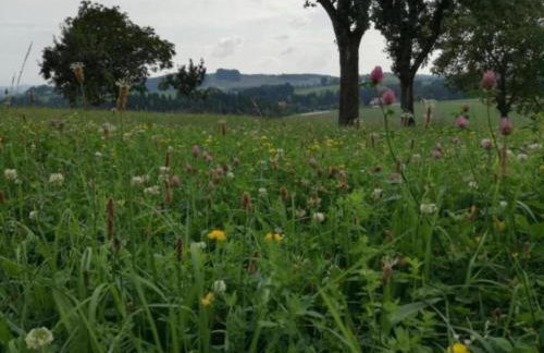Ferienhaus in Altenfeld Thuringen mit Garten - Foto 42