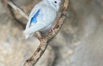 House of sunset 2 Sivas - Photo 44