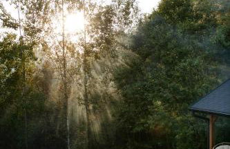 Budzi nas las Marcyporęba - Duży domek - Photo 33