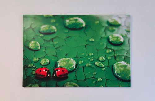 La Coccinella di Susà - Foto 23