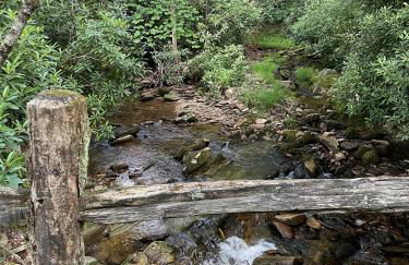 Timberwalk Cottage - Foto 50