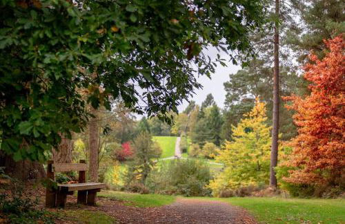 Cedar Cabin Overlooking Bedgebury Forest - Foto 11