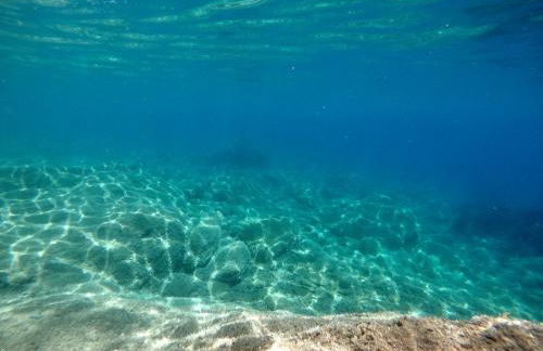 Berenice - Isola D'Elba Apartments - Foto 23