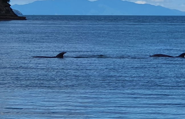 Whangaparaoa Lodge Motel - Foto 60