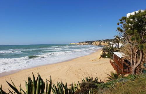 Quinta dos Arcos Feel At Home - Foto 26