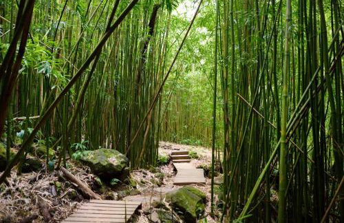 Puamana 80-4 Superior Garden View - Foto 29