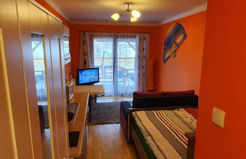 Apartamenty Dzika Orlica - Foto 70