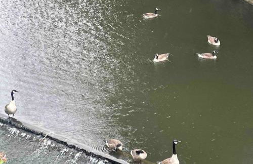 Cityfront Cosy Apt Near City Centre & Etihad Stadium, Free Parking - Foto 32