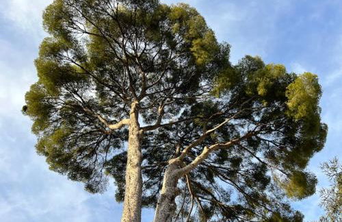 CassisCentre-pour famille-piscine plage - 4pers - Photo 2