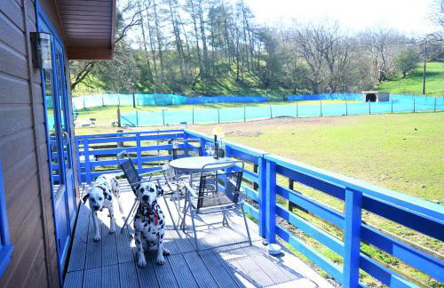 Glen Bay - 2 Bed Lodge on Friendly Farm Stay with Private Hot Tub - Foto 68