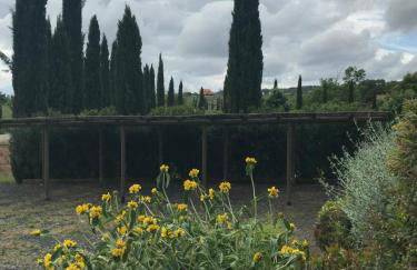 Casa Vacanze "Casale al Pino" - Foto 11