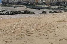 Appartement vue mer - Foto 27