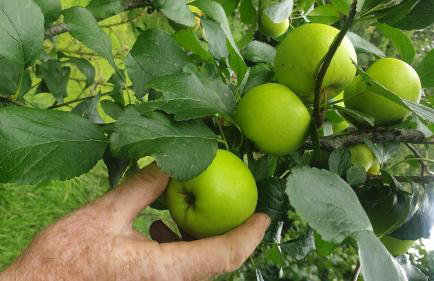 Chestnut Lodge Annex - Foto 15