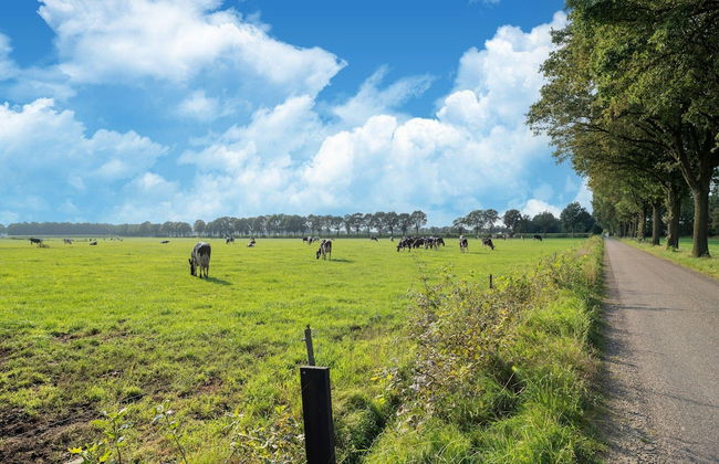 Peaceful Nature Escape in Meijel - Photo 62