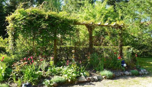 Ferienwohnung Villa am Haussee - Foto 5, Garden