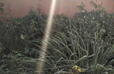 Apartments Villa Rosa - Foto 9