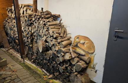 Schwedenhaus in Sandhatten - Foto 32