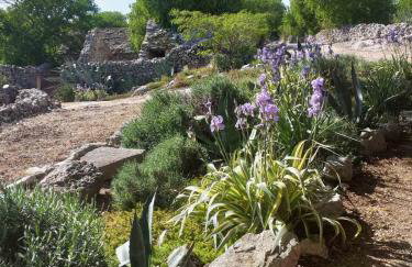 Prominska Bajka - Foto 21