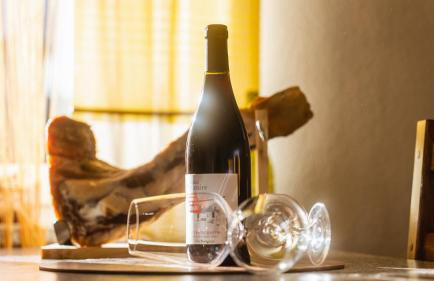 Apartman Matea - Photo 14