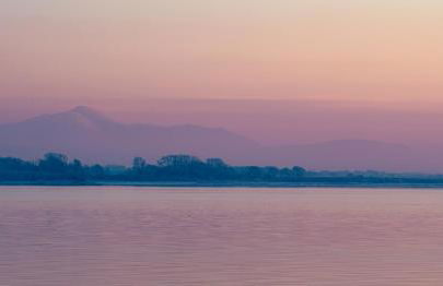 Bridge View - Foto 18