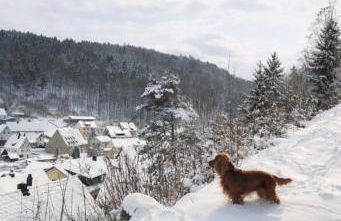 Haus Sommerseit'n Ruhe-Natur-Genuss - Foto 3