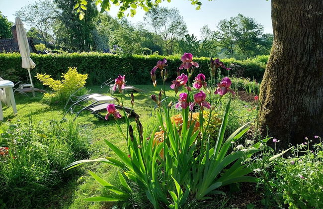 Cottage in Auvergne Near Puy Mary - Foto 28