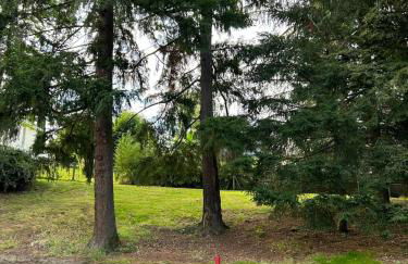 Château de Sérignac - Foto 9