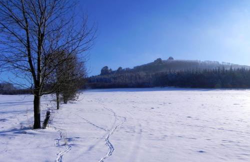 Ferienbungalow Nähe Willingen-Winterberg - Foto 11