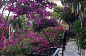 George's Apartments - Foto 23