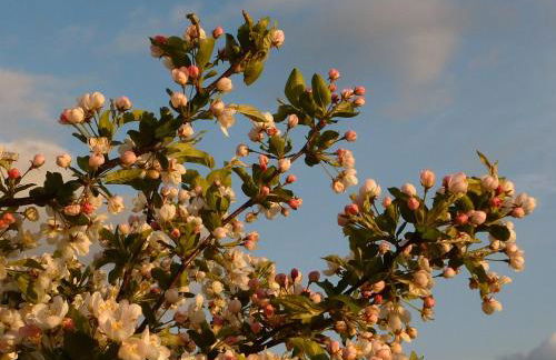 Wattenblick - Foto 17