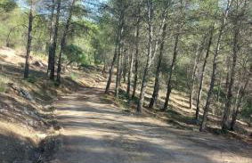 MAIN SQUARE Apartments - Photo 59