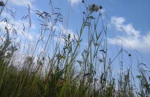 Vier Winde Usedom - Ferienanlage - Foto 4