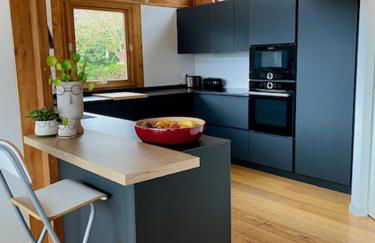 Saint-Jorioz, villa , terrasse 8pers - Photo 7