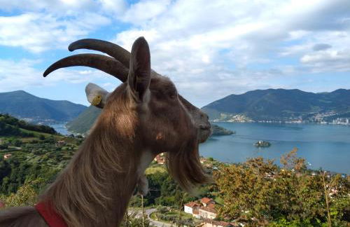 Agriturismo Cascina Lert - Foto 2