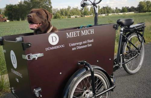 Seeliebe, 300 Meter zum Wasser, mit Terrasse und Garten - Foto 40