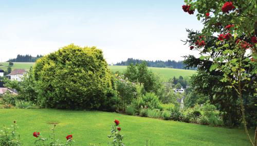 Amazing Apartment In Rickenbach - Foto 5, Garden