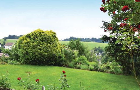 Amazing Apartment In Rickenbach - Foto 5