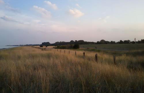 Ferienhaus Ferienhof Behnke - Foto 20
