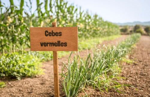 Finca Son Roig by Valentin - Foto 20