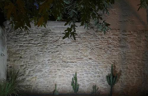 La Maison du Puisatier • Centre historique • Piscine chauffée •Jardin - Foto 65