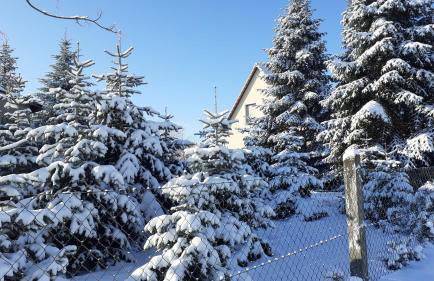 Ferienwohnung Schmidt - Foto 32