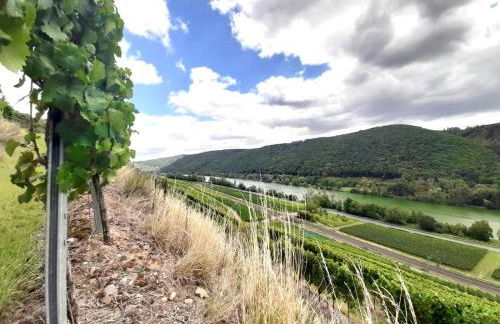 Ferienhaus Goldstück wohnen im Weinberg - Foto 51