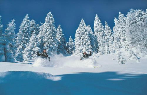 Landhaus Gastager - Foto 50