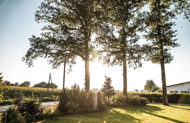 Gästehaus Meiwes - Foto 45