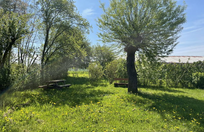 Alte Schmiede - Foto 18