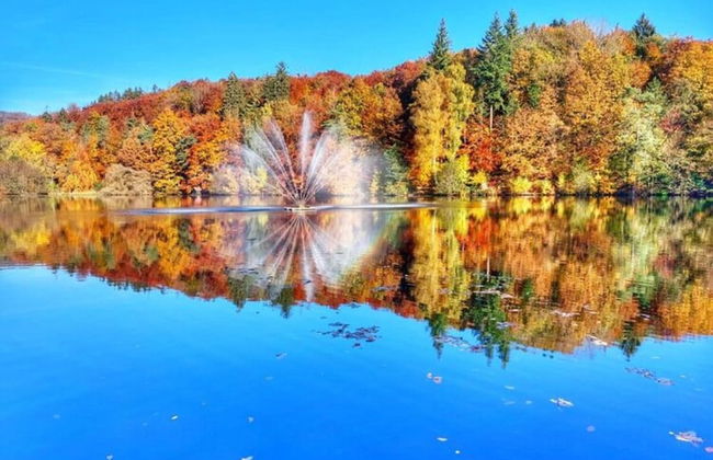 Classy Apartment in Bad Sachsa - Foto 6