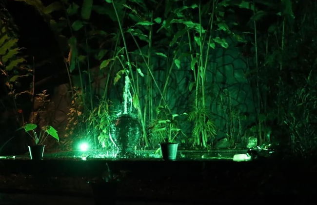 Colonial Residence Kandy - Foto 57